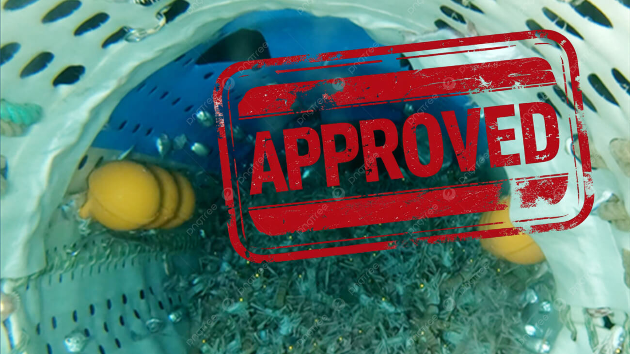 Approved For Scampi